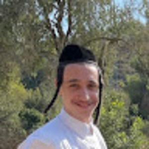 Meet your Posher, Mendy